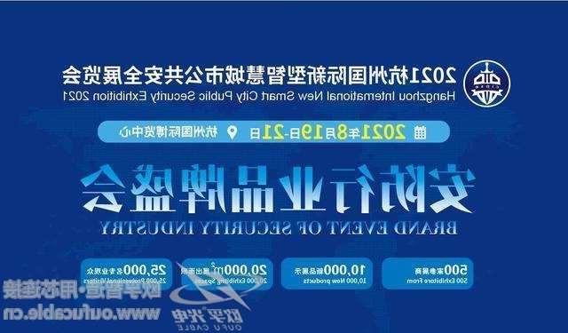 台南市2021杭州国际新型智慧城市公共安全展览会（安博会）CIPSE
